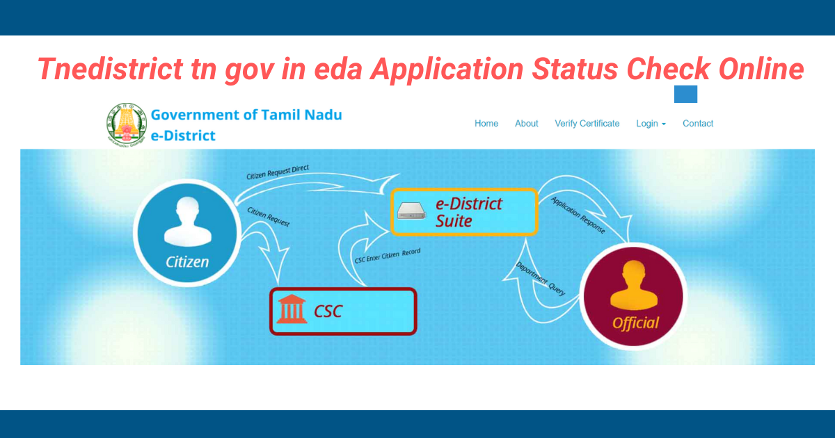 Tnedistrict tn gov in eda Application status