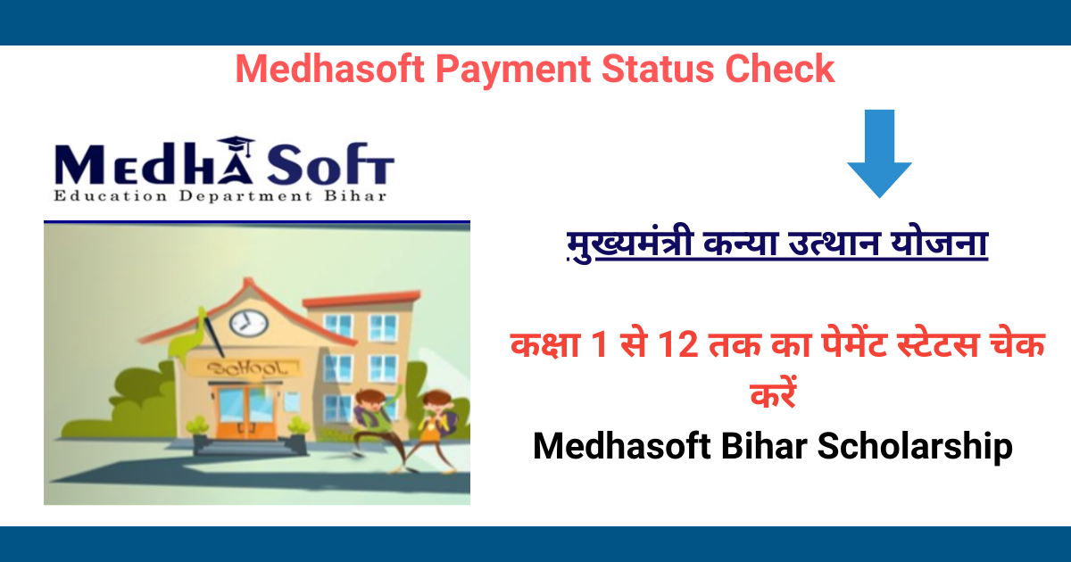 medhasoft payment status